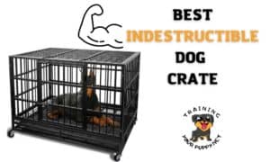 Indestructible Dog Crate