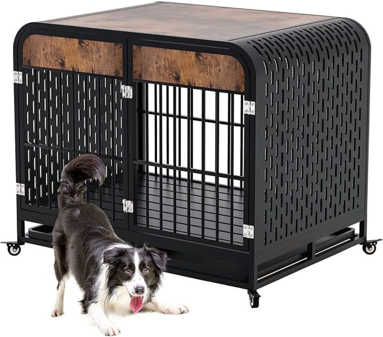 7 Best Indestructible Dog Crates [2024] 🏆