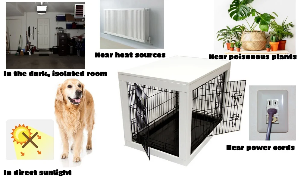 where you sholdn't put dogs' crate