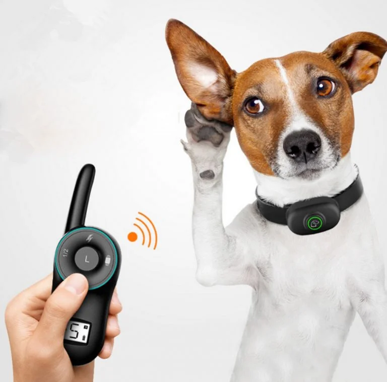 deaf dog training with vibrating collar