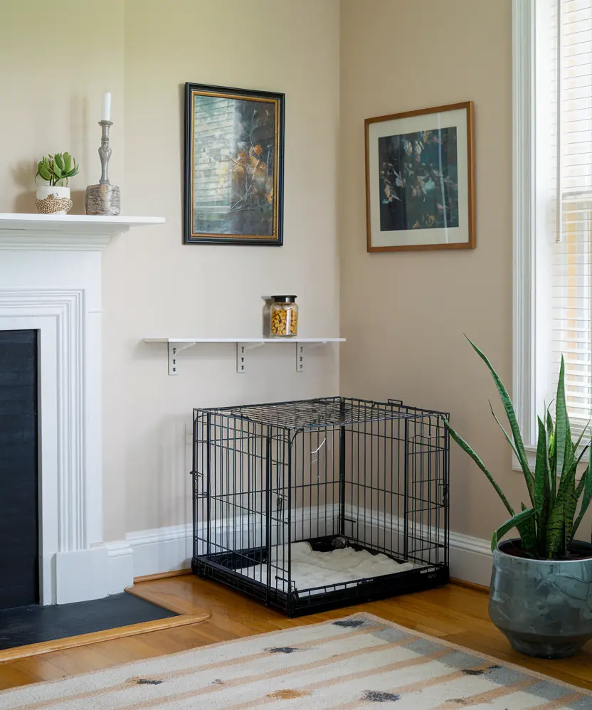 dog crate in the corner of the living room