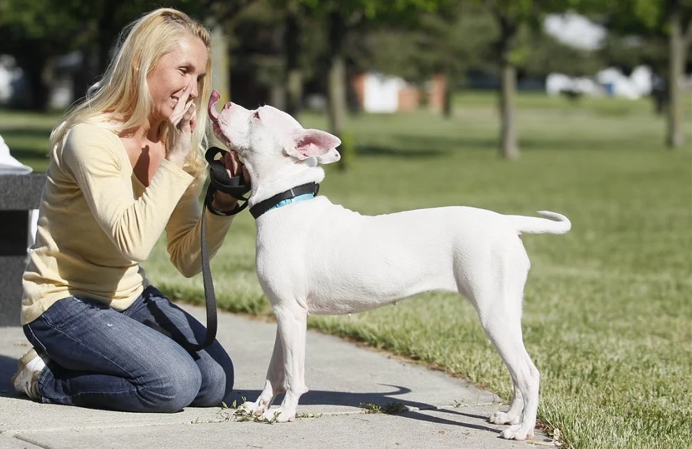 women using sign language for deaf dog