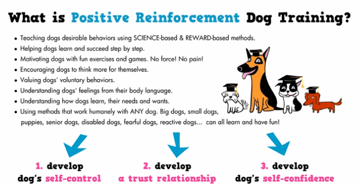 what is positive reinforcement dog training