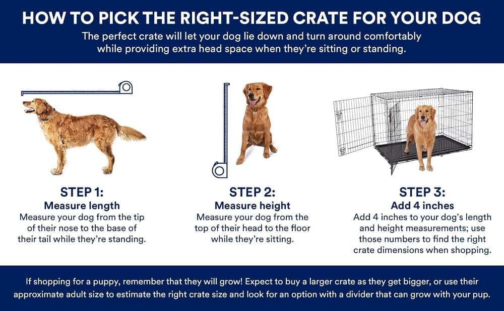 7 Best Indestructible Dog Crates [2024] 🏆