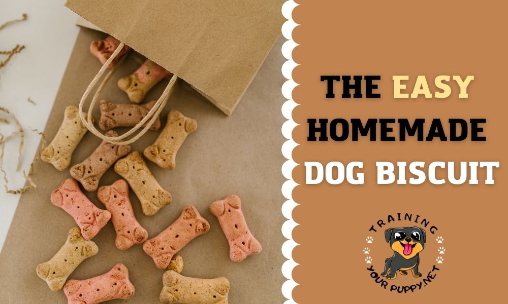 THE EASY HOMEMADE DOG BISCUIT