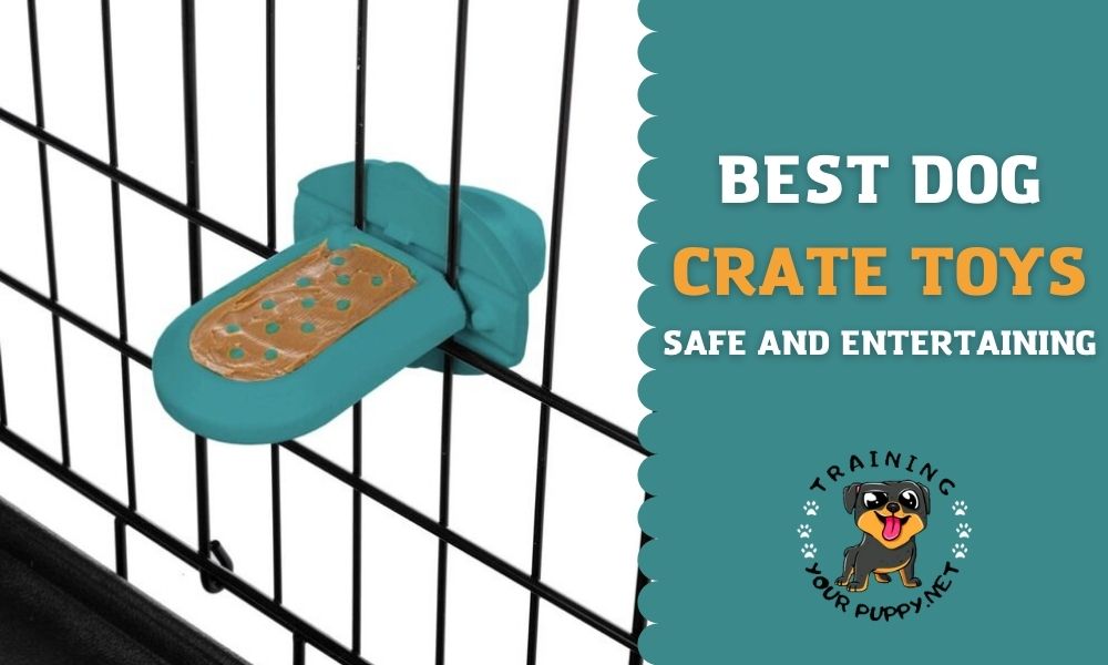 dog crate toys