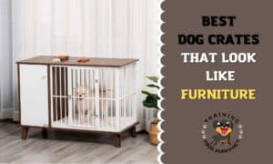 DOG CRATES THAT LOOK LIKE FURNITURE