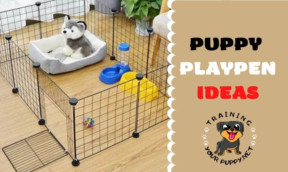 PUPPY PLAYPEN IDEAS