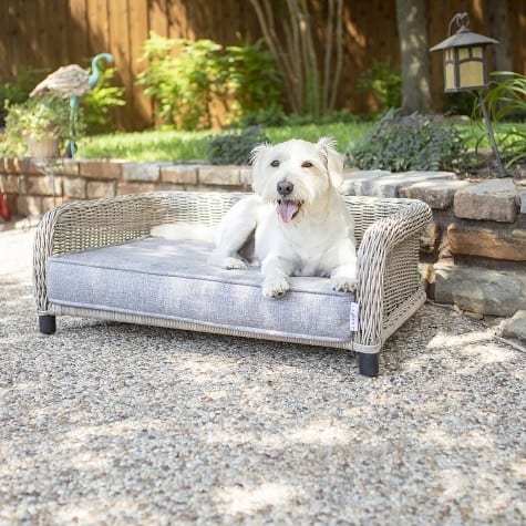 La-Z-Boy Sunny Outdoor Lounger Dog Bed
