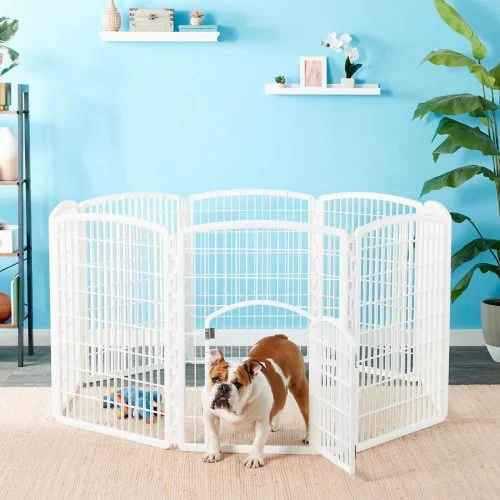 dog in the playpen