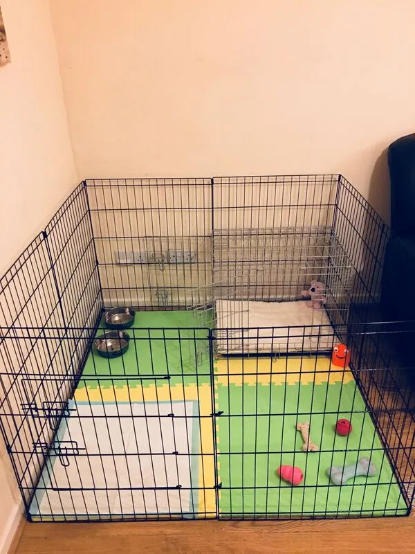 Puppy playpen ideas