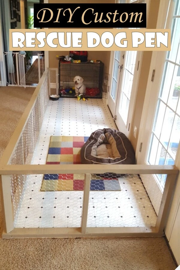 Puppy playpen ideas