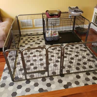 Puppy playpen ideas