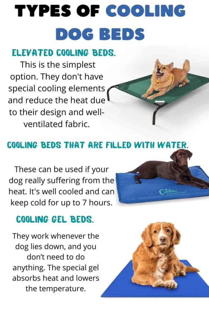 Types of cooling dog beds