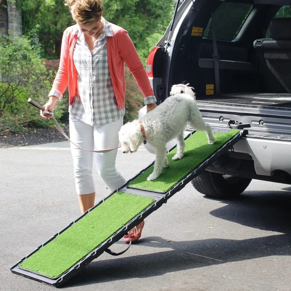 woman with dog walking on ramp from the car
