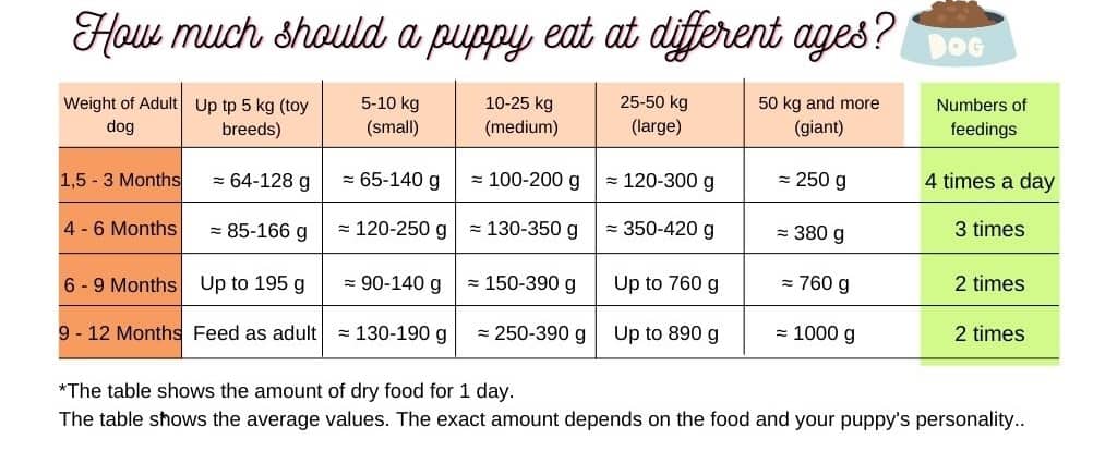 Complete Puppy Feeding Chart By Age