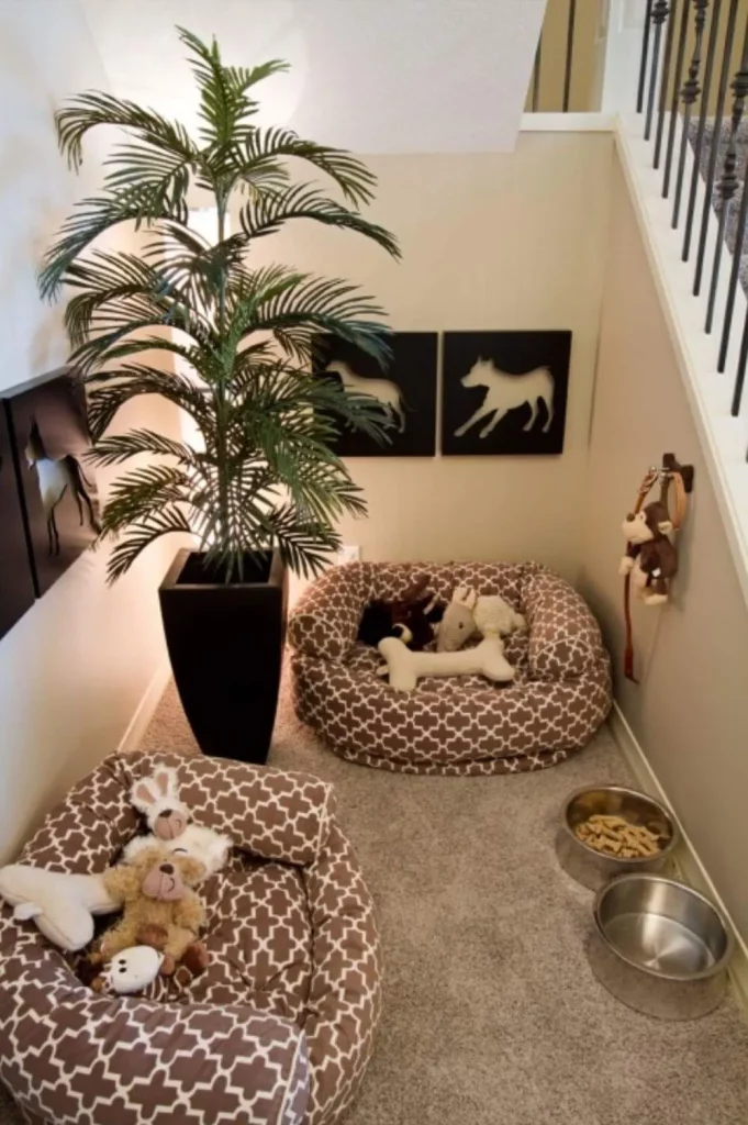 dog room near the stairs