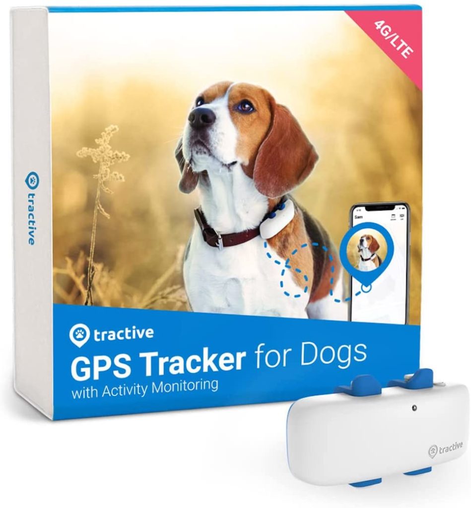 Don't lose your dog. Look for best dog GPS tracker
