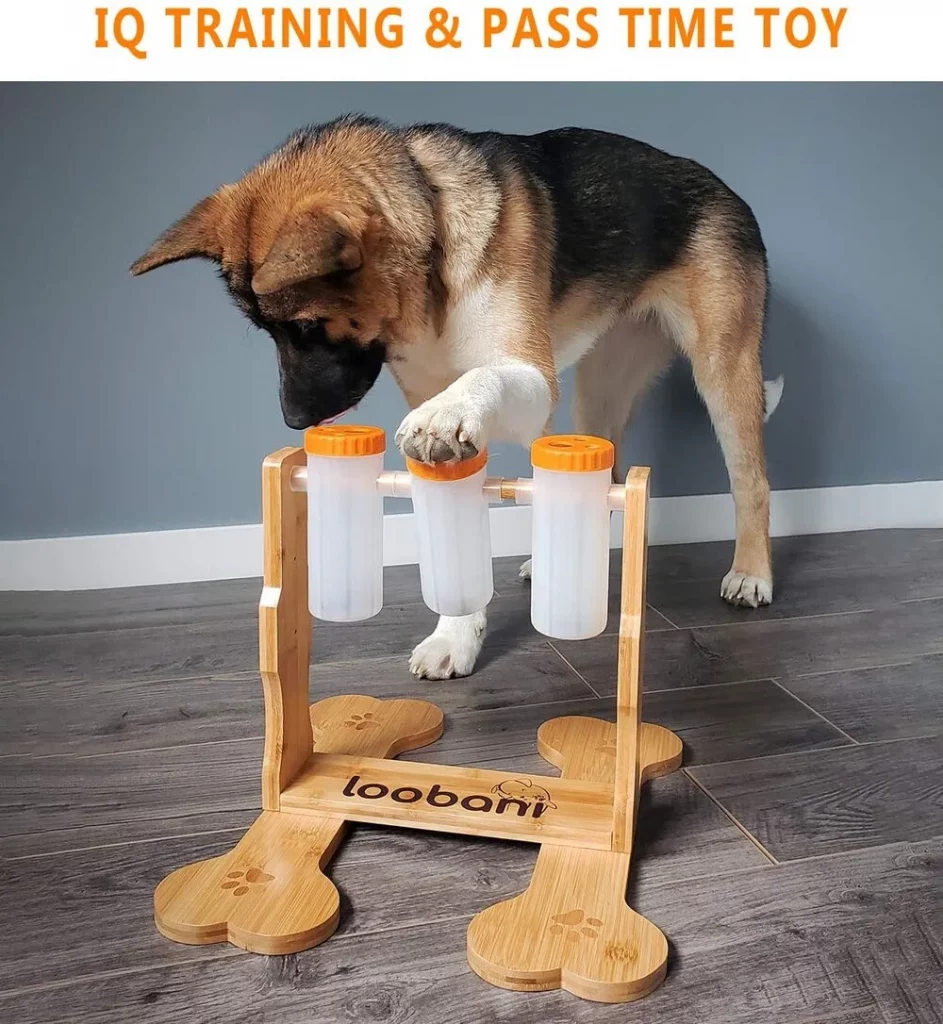interactive dog toy