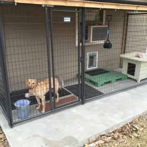 30+ Outdoor Dog Area Ideas - How To Make a Dog Area in Your Backyard