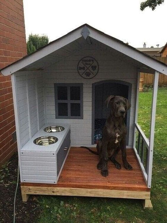 dog outdoor house