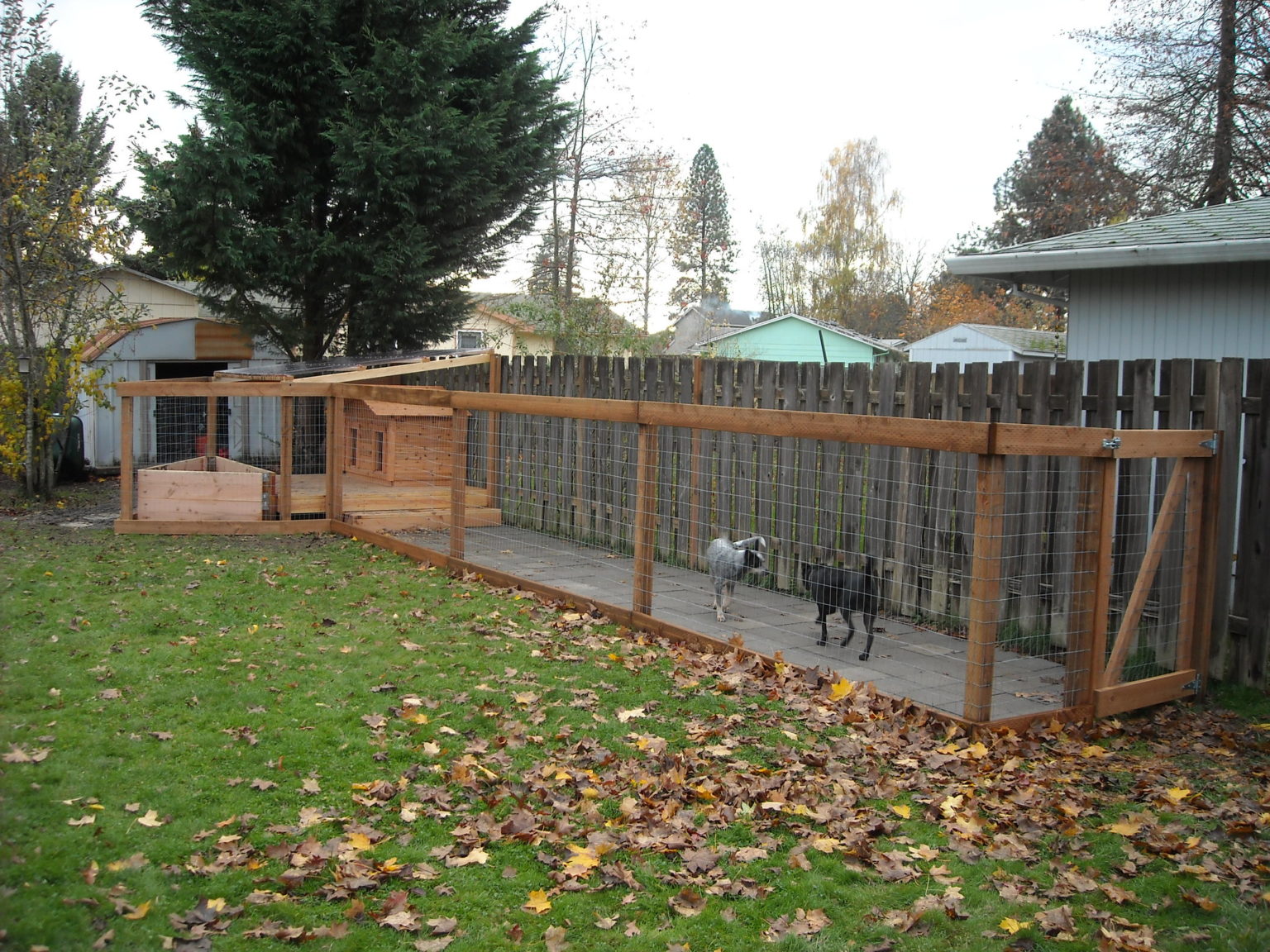 30+ Outdoor Dog Area Ideas - How To Make a Dog Area in Your Backyard