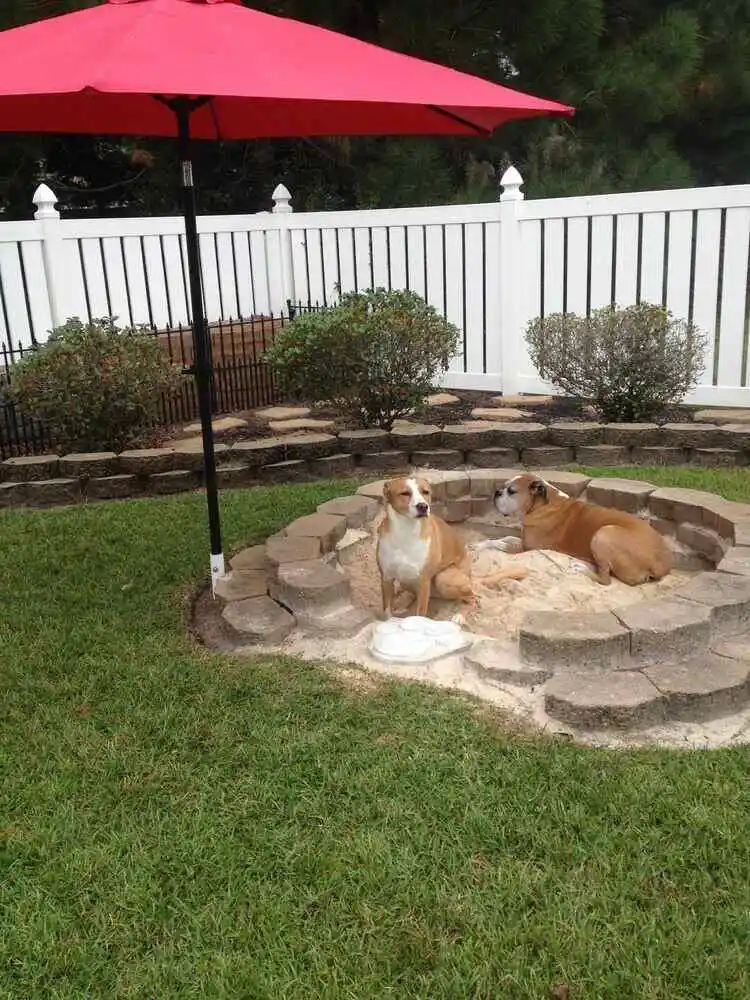 outdoor sandbox for dogs