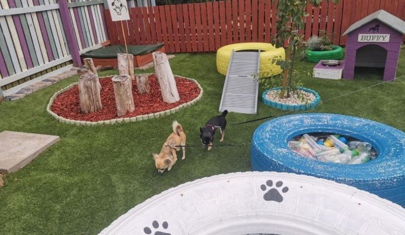 DIY playground for dogs