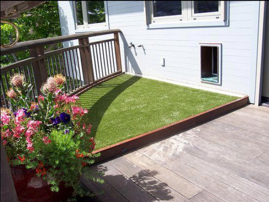 outdoor dog potty area from grass