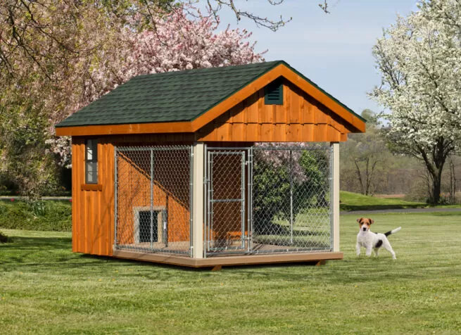 outdoor kennel 