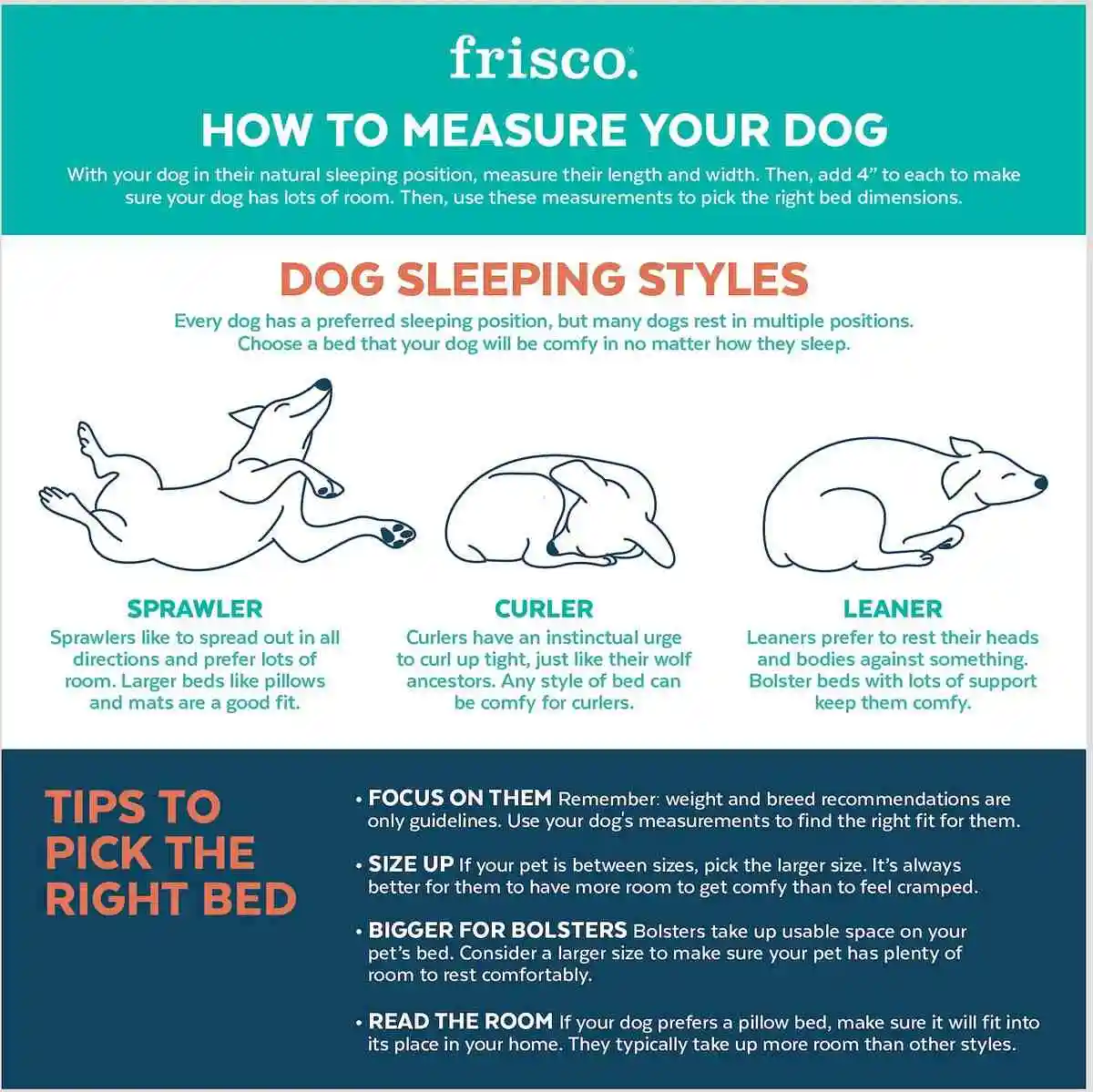 dog sleeping styles