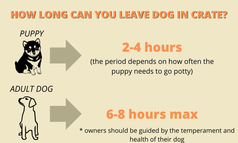 hoe long can you leave dog in crate infographic
