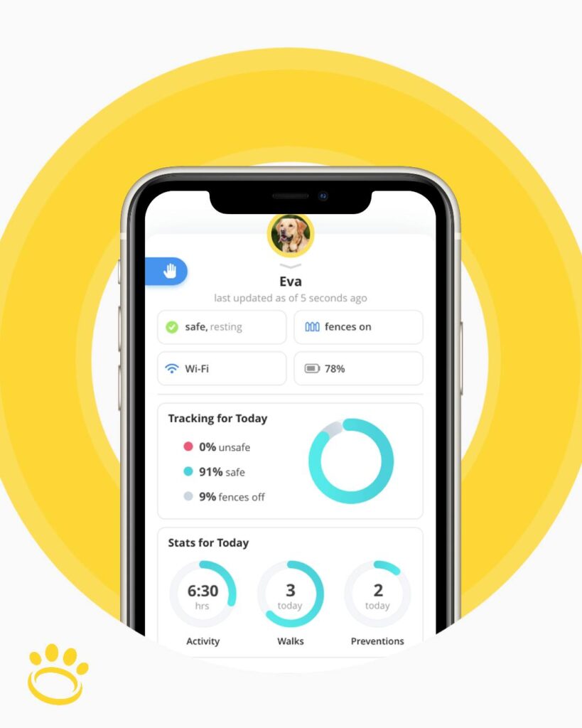 Halo Dog Collar Review Is It Worth the Money?💰2023