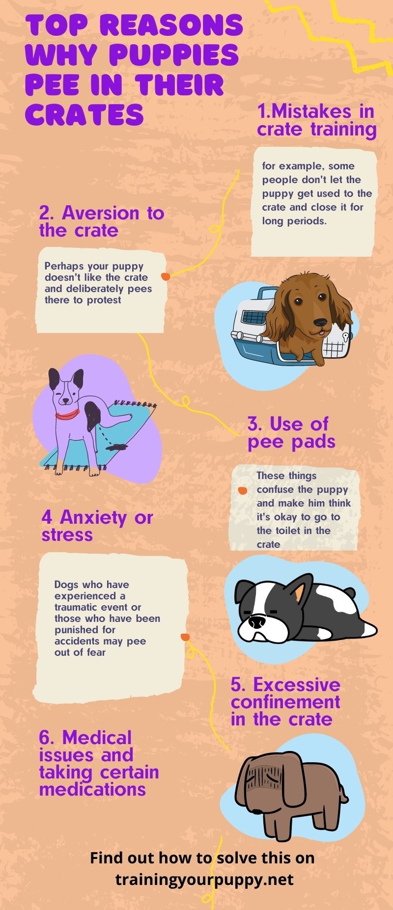 Top reasons why puppies pee in their crates