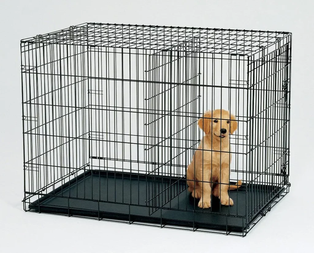 What to do if your puppy peeing in the crate