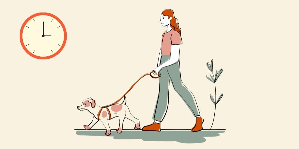 A girl walking her puppy on a leash