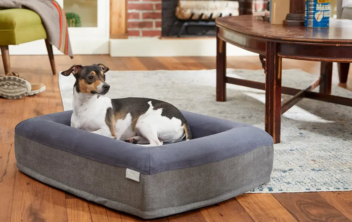 Best memory foam dog bed for healthy sleep