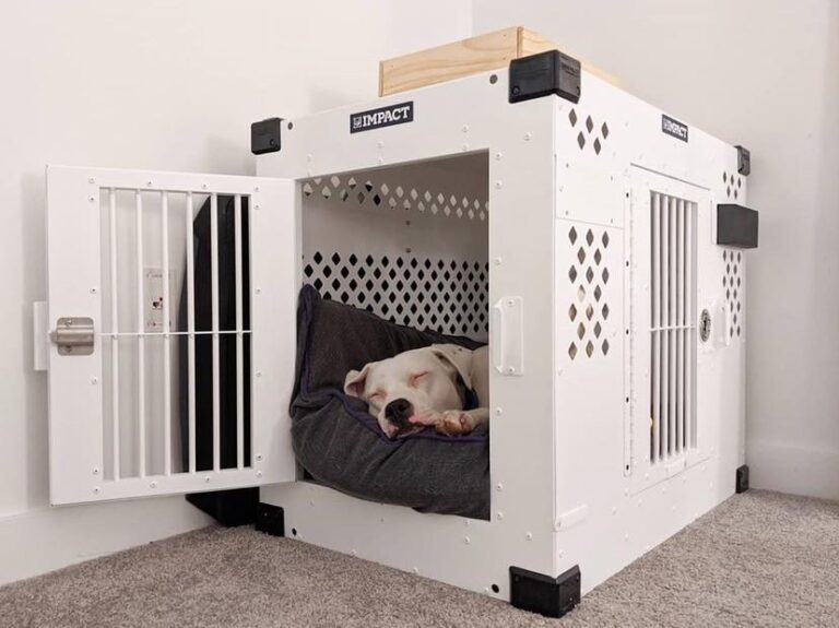 6 Best Dog Crates For Separation Anxiety [2025] - Dog Crate For Independence With Separation Anxiety