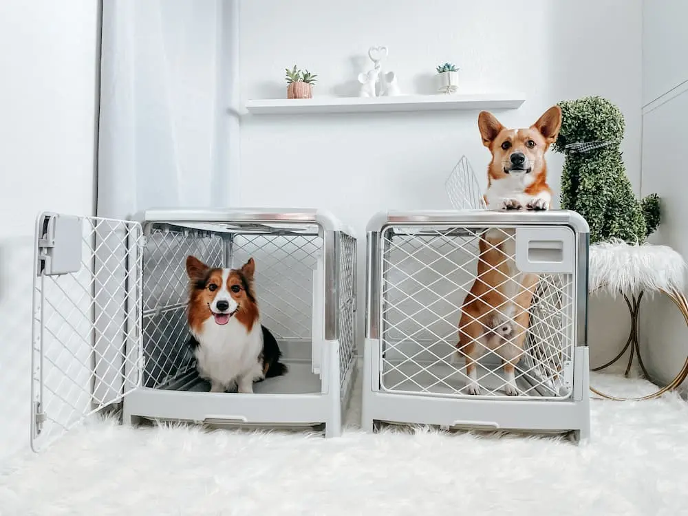 Best dog crates for puppies of any age