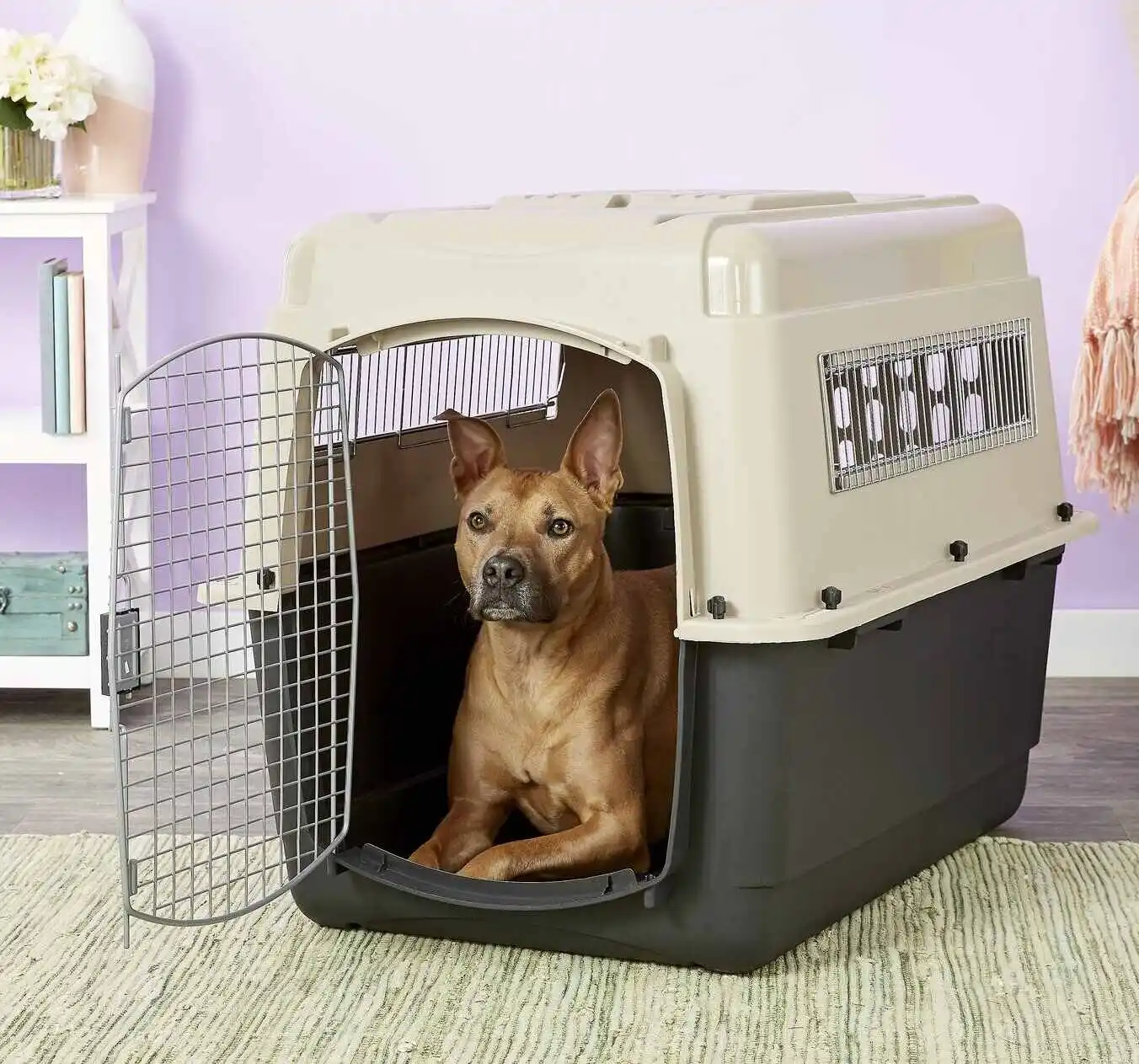 Best dog crates for puppies of any age