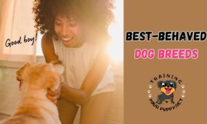 BEST-BEHAVED DOG BREEDS