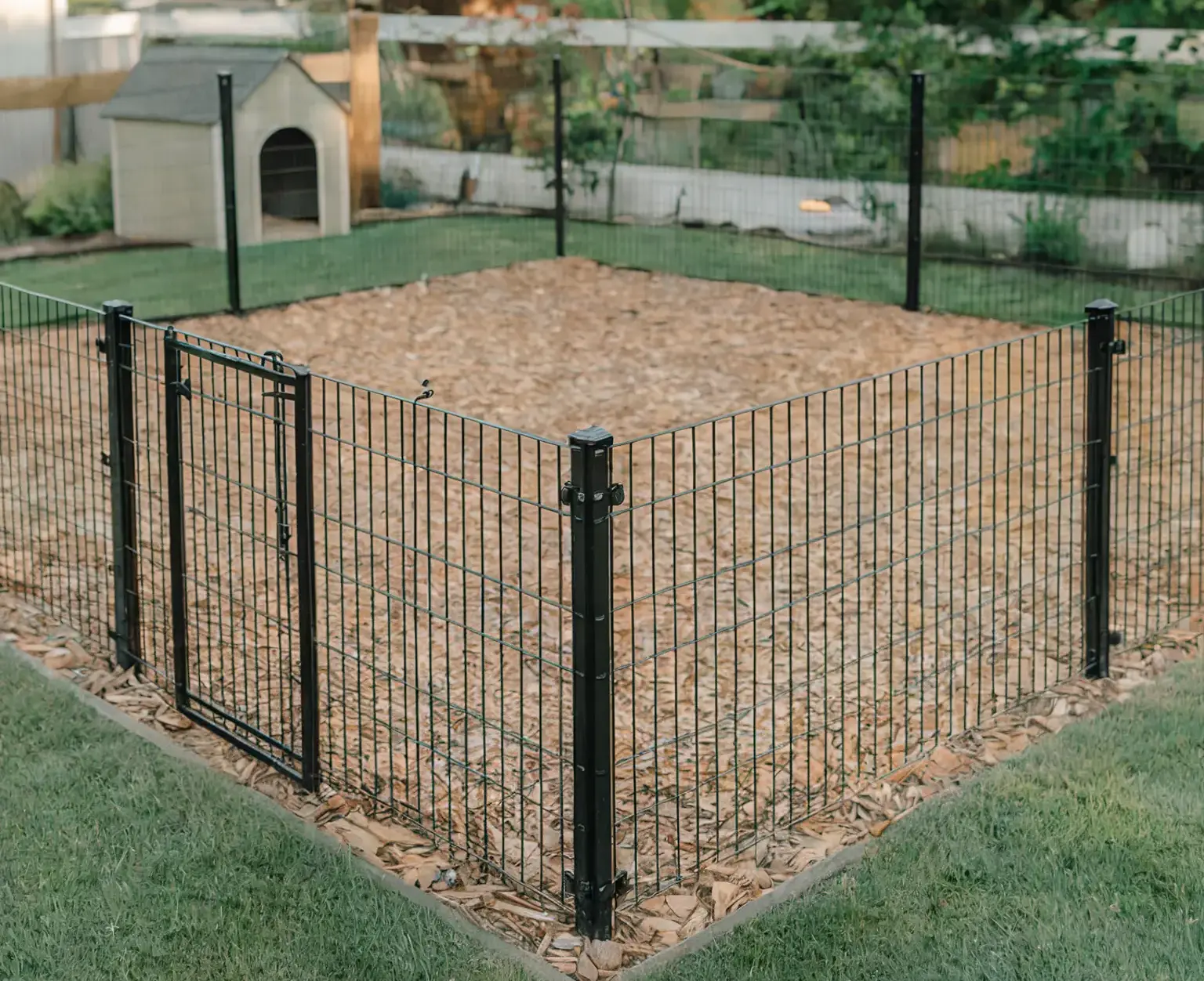 The dog area is in the backyard covered with mulch and fenced with a metal wire fence with a gate. the rest of the yard is lawned