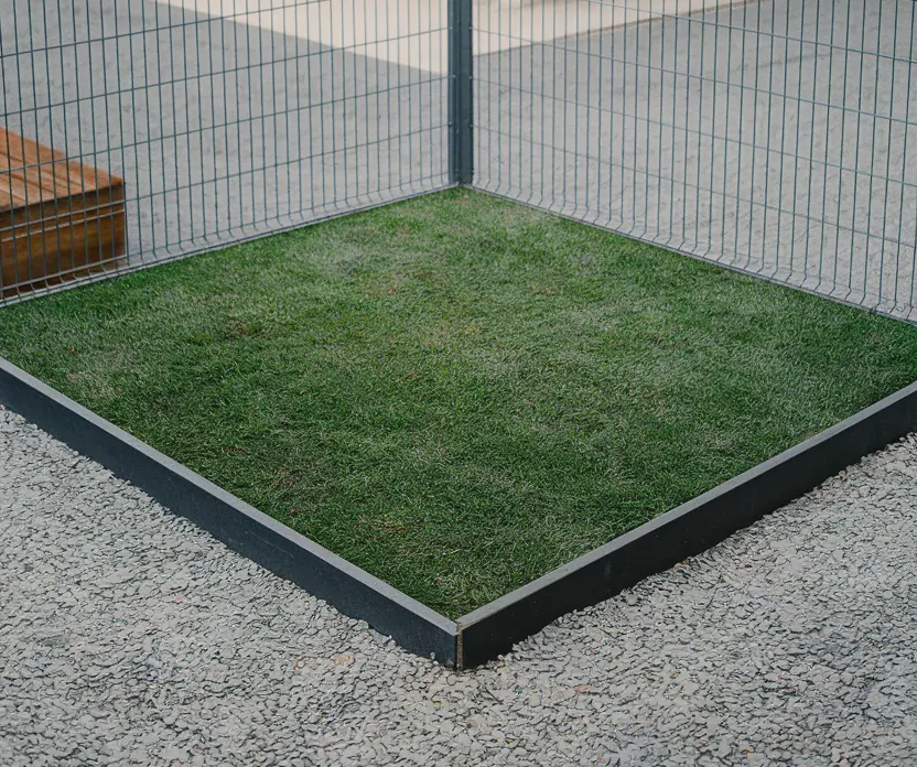 How to BUILD OUTDOOR dog potty area