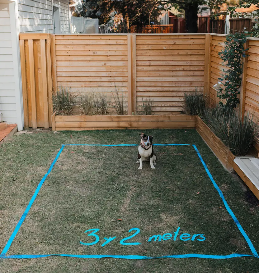 The first step in building an outdoor dog potty area. the perimeter of the future dog potty area is marked on the ground in the backyard with tape.